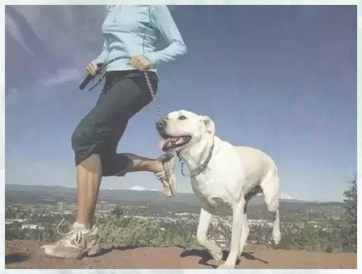 ѱĹѧ