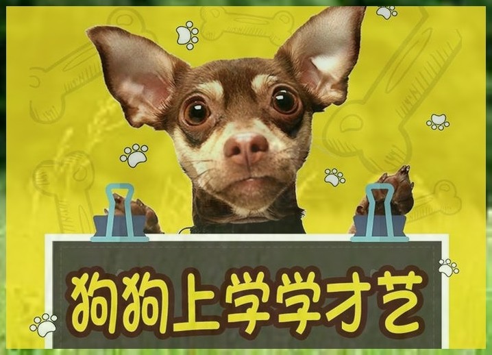 ѵűȮѵ