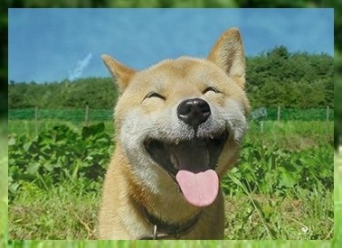 ѵѵС